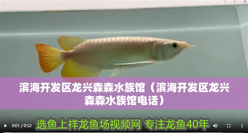 濱海開發區龍興森森水族館（濱海開發區龍興森森水族館電話）