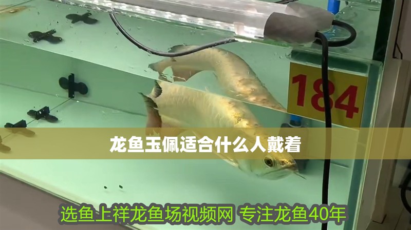 龍魚玉佩適合什么人戴著