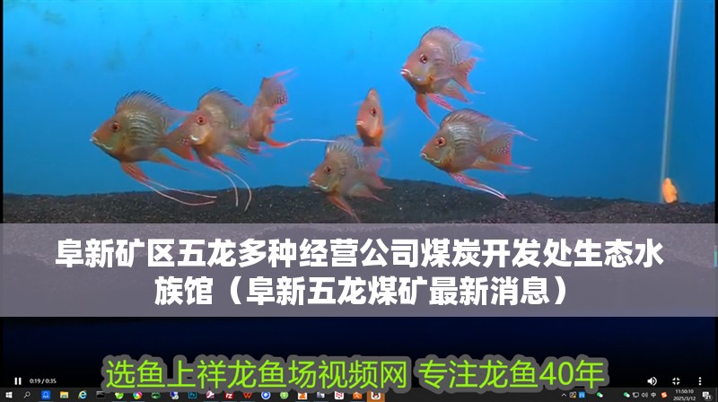 阜新礦區五龍多種經營公司煤炭開發處生態水族館（阜新五龍煤礦最新消息）