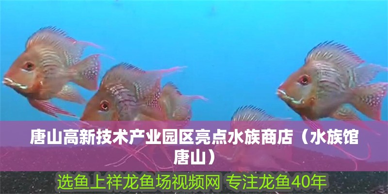 唐山高新技術產業園區亮點水族商店（水族館唐山） 唐山高新技術產業園區亮點水族商店（水族館唐山） 全國水族館企業名錄 第2張