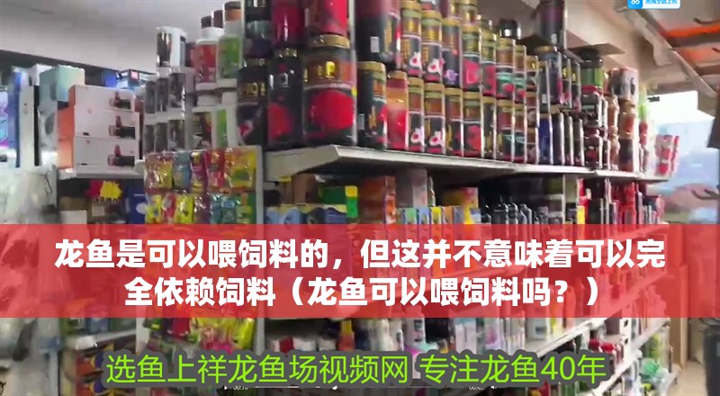 龍魚是可以喂飼料的，但這并不意味著可以完全依賴飼料（龍魚可以喂飼料嗎？） 龍魚是可以喂飼料的，但這并不意味著可以完全依賴飼料（龍魚可以喂飼料嗎？） 龍魚百科 第2張