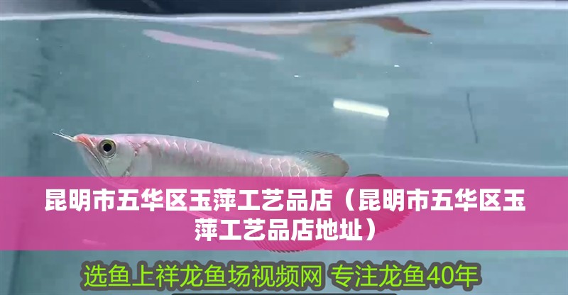 昆明市五華區(qū)玉萍工藝品店（昆明市五華區(qū)玉萍工藝品店地址）