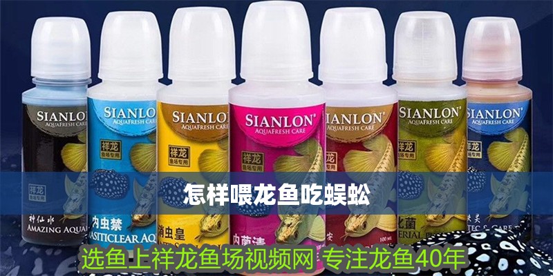 怎樣喂龍魚吃蜈蚣