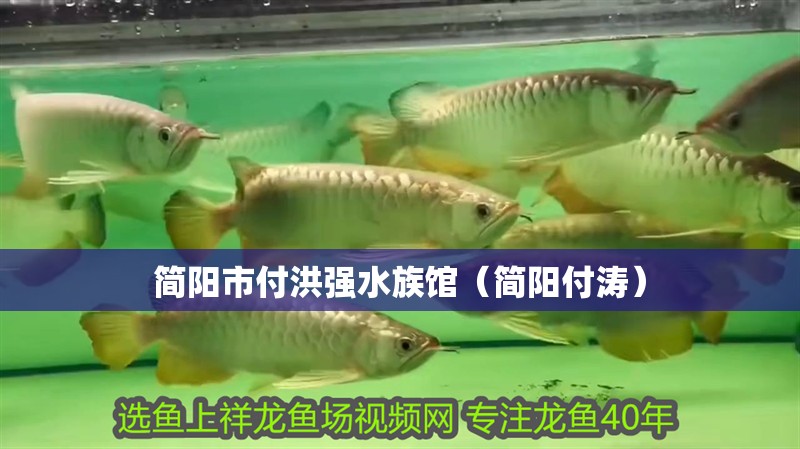 簡陽市付洪強水族館（簡陽付濤）