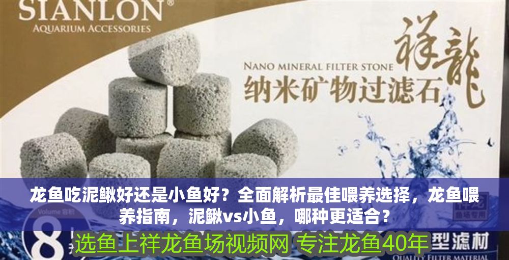 詳細閱讀:龍魚吃泥鰍好還是小魚好?全面解析最佳喂養選擇,龍魚喂養指南,泥鰍vs小魚,哪種更適合? 龍魚吃泥鰍好還是小魚好?全面解析最佳喂養選擇,龍魚喂養指南,泥鰍vs小魚,哪種更適合?