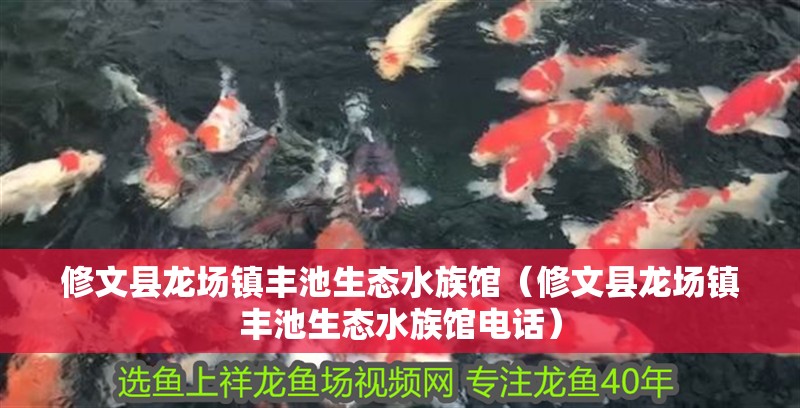 修文縣龍場鎮豐池生態水族館（修文縣龍場鎮豐池生態水族館電話）