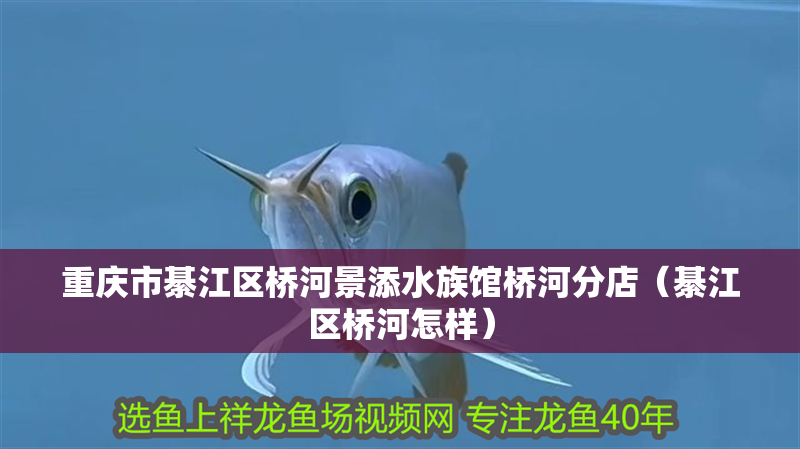 重慶市綦江區橋河景添水族館橋河分店(綦江區橋河怎樣) 全國水族館企業名錄 第2張 重慶市綦江區橋河景添水族館橋河分店(綦江區橋河怎樣) 重慶市綦江區橋河景添水族館橋河分店(綦江區橋河怎樣) 全國水族館企業名錄 第2張