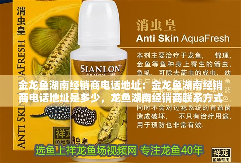 金龍魚湖南經銷商電話地址：金龍魚湖南經銷商電話地址是多少，龍魚湖南經銷商聯系方式