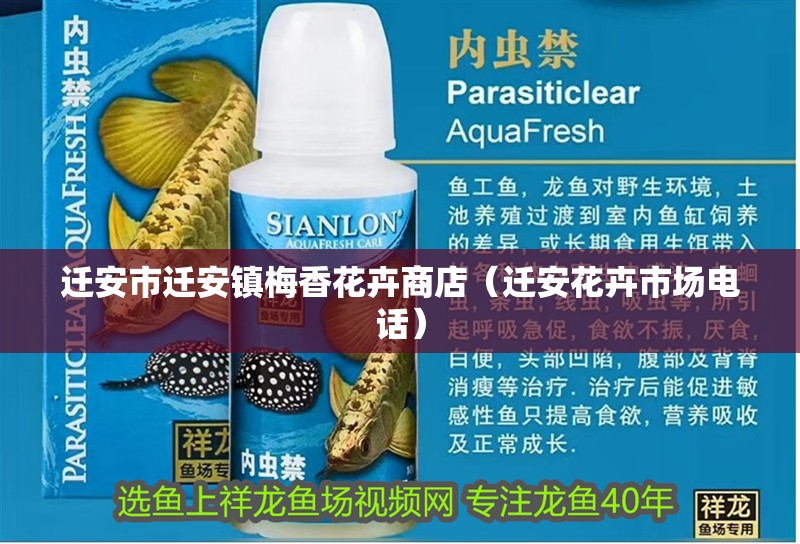 遷安市遷安鎮梅香花卉商店（遷安花卉市場電話）