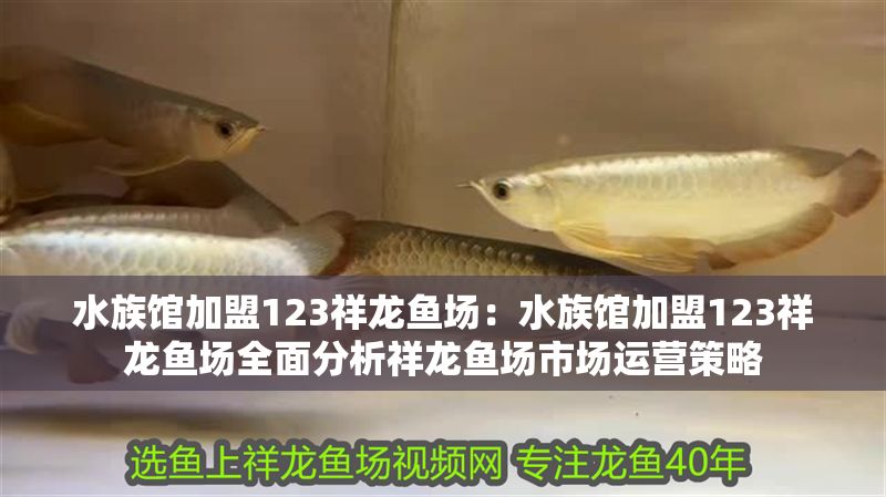 水族館加盟123祥龍魚(yú)場(chǎng)：水族館加盟123祥龍魚(yú)場(chǎng)全面分析祥龍魚(yú)場(chǎng)市場(chǎng)運(yùn)營(yíng)策略