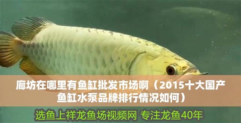 廊坊在哪里有魚缸批發(fā)市場啊（2015十大國產(chǎn)魚缸水泵品牌排行情況如何）
