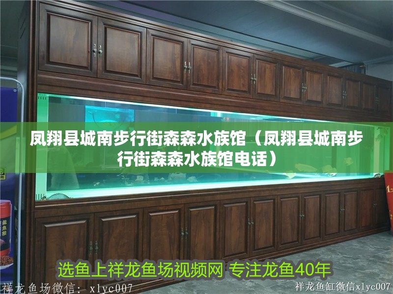 鳳翔縣城南步行街森森水族館（鳳翔縣城南步行街森森水族館電話）