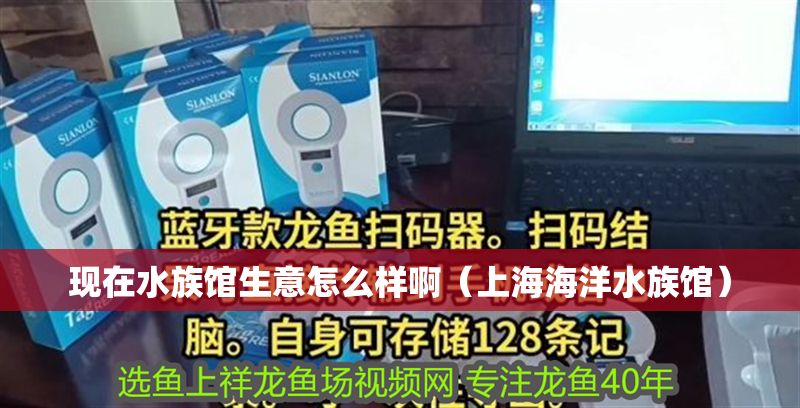 現(xiàn)在水族館生意怎么樣?。ㄉ虾：Ｑ笏屦^）