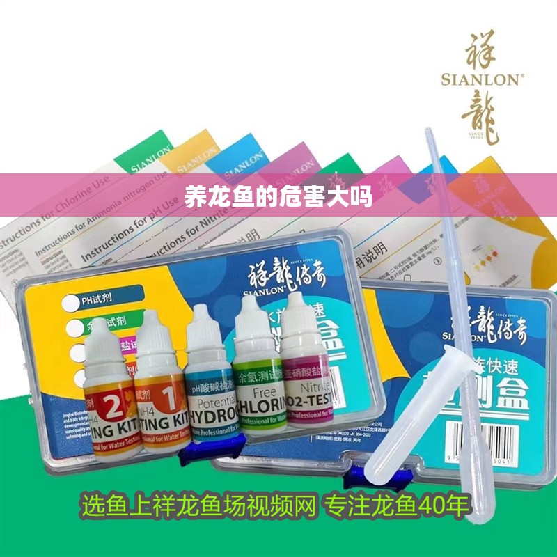 養(yǎng)龍魚的危害大嗎