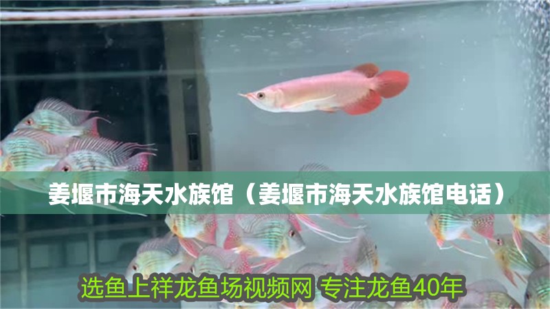 姜堰市海天水族館（姜堰市海天水族館電話(huà)） 姜堰市海天水族館（姜堰市海天水族館電話(huà)） 全國(guó)水族館企業(yè)名錄 第2張