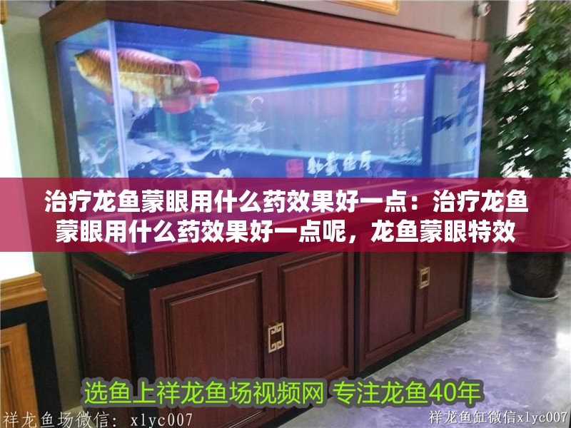 治療龍魚蒙眼用什么藥效果好一點：治療龍魚蒙眼用什么藥效果好一點呢，龍魚蒙眼特效 治療龍魚蒙眼用什么藥效果好一點：治療龍魚蒙眼用什么藥效果好一點呢，龍魚蒙眼特效 水族問答