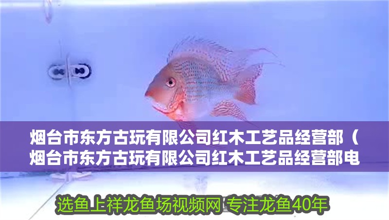 煙臺市東方古玩有限公司紅木工藝品經營部（煙臺市東方古玩有限公司紅木工藝品經營部電話）