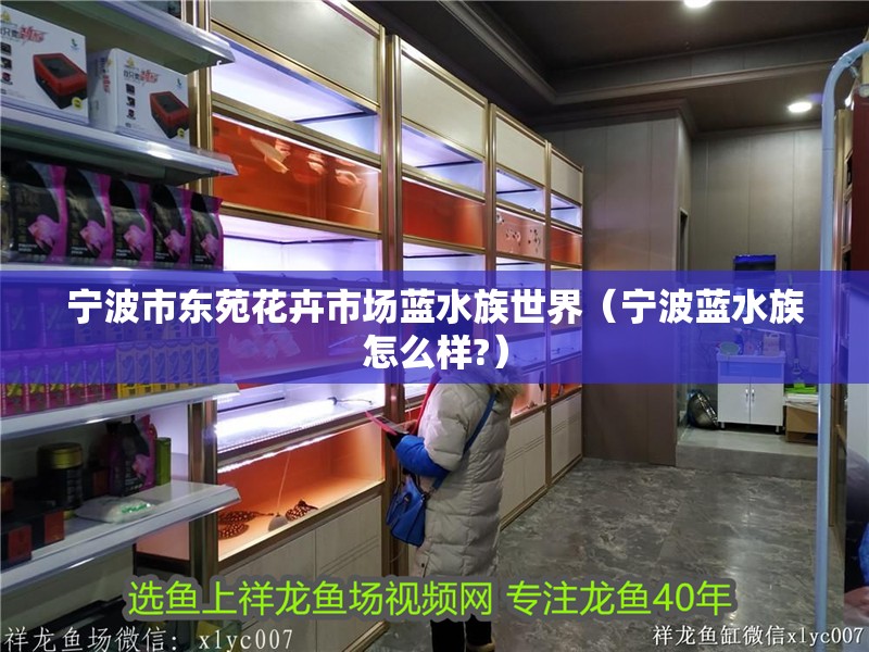 寧波市東苑花卉市場藍水族世界（寧波藍水族怎么樣?）