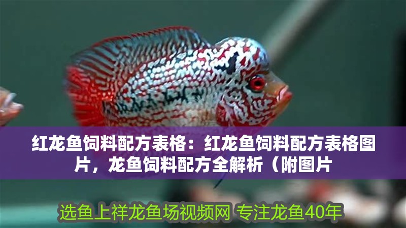 紅龍魚飼料配方表格：紅龍魚飼料配方表格圖片，龍魚飼料配方全解析（附圖片
