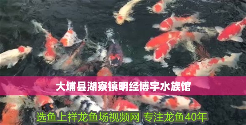 大埔縣湖寮鎮明經博宇水族館