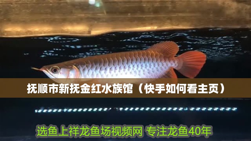 撫順市新撫金紅水族館(快手如何看主頁) 全國水族館企業名錄 第2張 撫順市新撫金紅水族館(快手如何看主頁) 撫順市新撫金紅水族館(快手如何看主頁) 全國水族館企業名錄 第2張