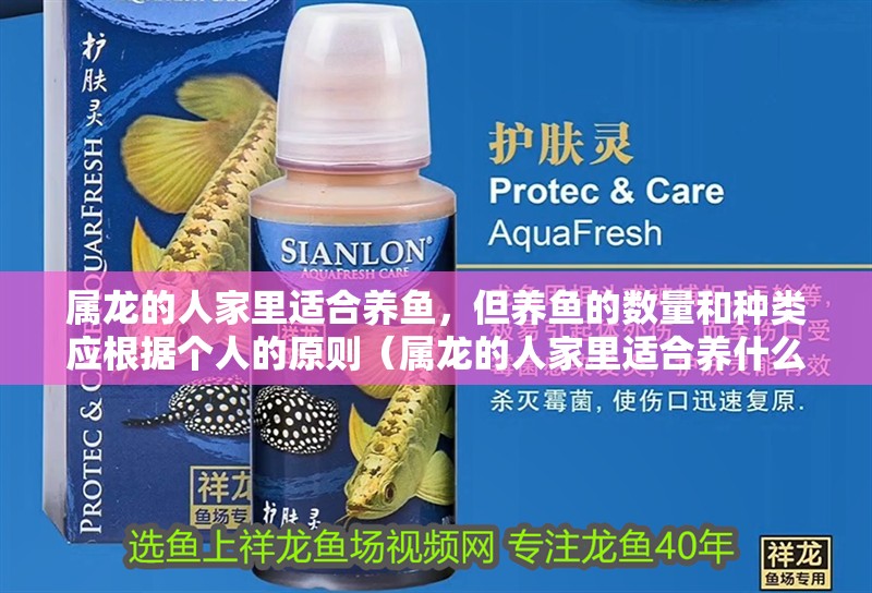 屬龍的人家里適合養魚，但養魚的數量和種類應根據個人的原則（屬龍的人家里適合養什么魚？）