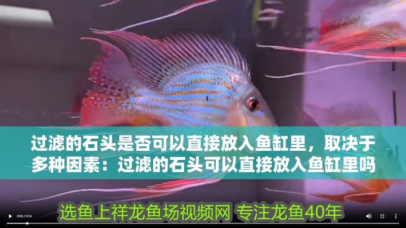 過濾的石頭是否可以直接放入魚缸里，取決于多種因素：過濾的石頭可以直接放入魚缸里嗎？ 過濾的石頭是否可以直接放入魚缸里，取決于多種因素：過濾的石頭可以直接放入魚缸里嗎？ 魚缸百科