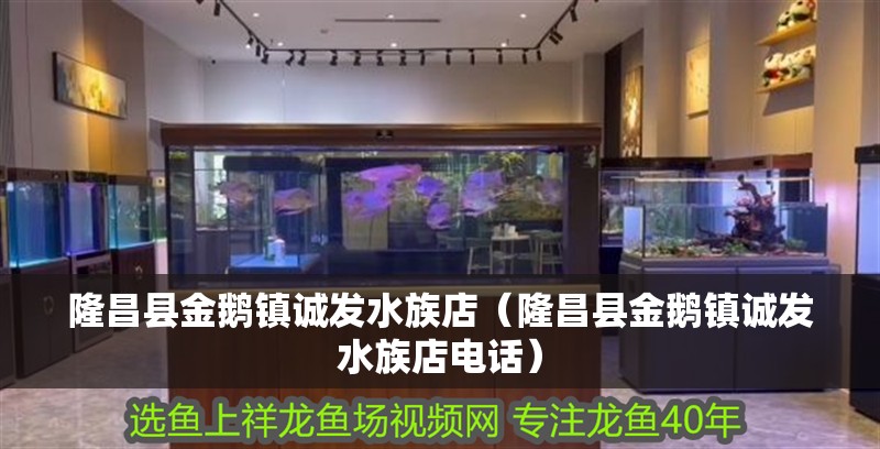 隆昌縣金鵝鎮誠發水族店（隆昌縣金鵝鎮誠發水族店電話）
