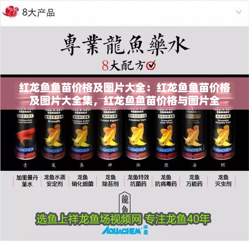 紅龍魚魚苗價格及圖片大全：紅龍魚魚苗價格及圖片大全集，紅龍魚魚苗價格與圖片全