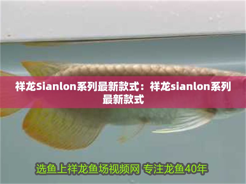 祥龍Sianlon系列最新款式：祥龍sianlon系列最新款式