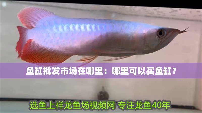 魚缸批發市場在哪里：哪里可以買魚缸？ 魚缸批發市場在哪里：哪里可以買魚缸？ 魚缸百科