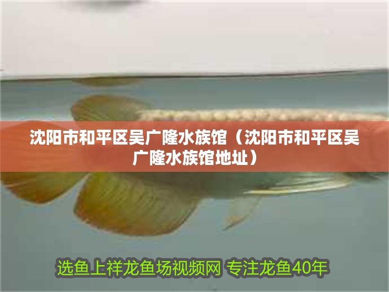 沈陽市和平區吳廣隆水族館（沈陽市和平區吳廣隆水族館地址） 沈陽市和平區吳廣隆水族館（沈陽市和平區吳廣隆水族館地址） 全國水族館企業名錄 第2張