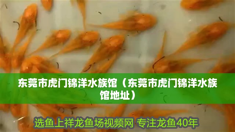 東莞市虎門錦洋水族館（東莞市虎門錦洋水族館地址）