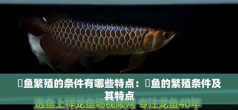 魟魚繁殖的條件有哪些特點：魟魚的繁殖條件及其特點