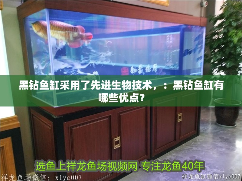 黑鉆魚缸采用了先進生物技術，：黑鉆魚缸有哪些優點？ 黑鉆魚缸采用了先進生物技術，：黑鉆魚缸有哪些優點？ 魚缸百科