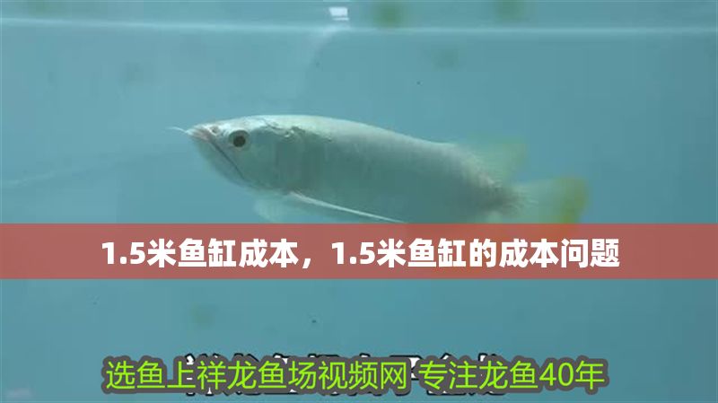 1.5米魚缸成本，1.5米魚缸的成本問題 1.5米魚缸成本，1.5米魚缸的成本問題 魚缸百科 第1張