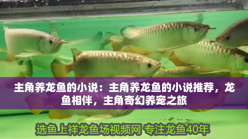 主角養龍魚的小說：主角養龍魚的小說推薦，龍魚相伴，主角奇幻養寵之旅