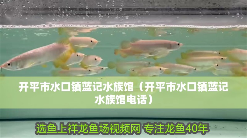 開平市水口鎮藍記水族館（開平市水口鎮藍記水族館電話） 開平市水口鎮藍記水族館（開平市水口鎮藍記水族館電話） 全國水族館企業名錄 第2張