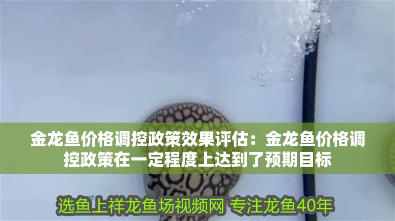金龍魚價格調控政策效果評估：金龍魚價格調控政策在一定程度上達到了預期目標