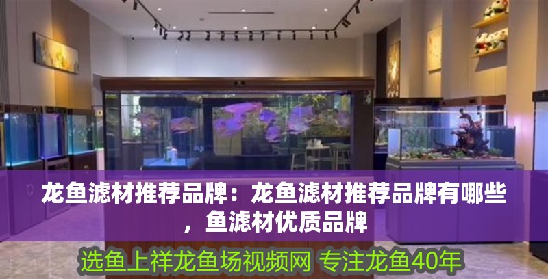 龍魚濾材推薦品牌：龍魚濾材推薦品牌有哪些，魚濾材優質品牌 龍魚濾材推薦品牌：龍魚濾材推薦品牌有哪些，魚濾材優質品牌 水族問答