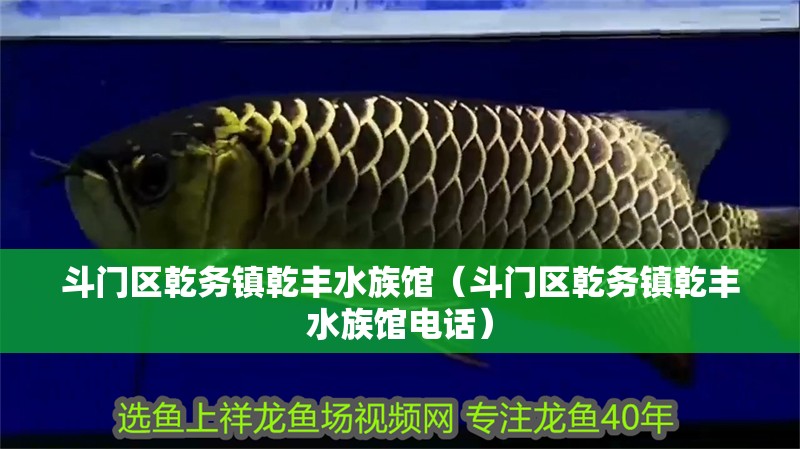 斗門區乾務鎮乾豐水族館(斗門區乾務鎮乾豐水族館電話) 全國水族館企業名錄 第2張 斗門區乾務鎮乾豐水族館(斗門區乾務鎮乾豐水族館電話) 斗門區乾務鎮乾豐水族館(斗門區乾務鎮乾豐水族館電話) 全國水族館企業名錄 第2張