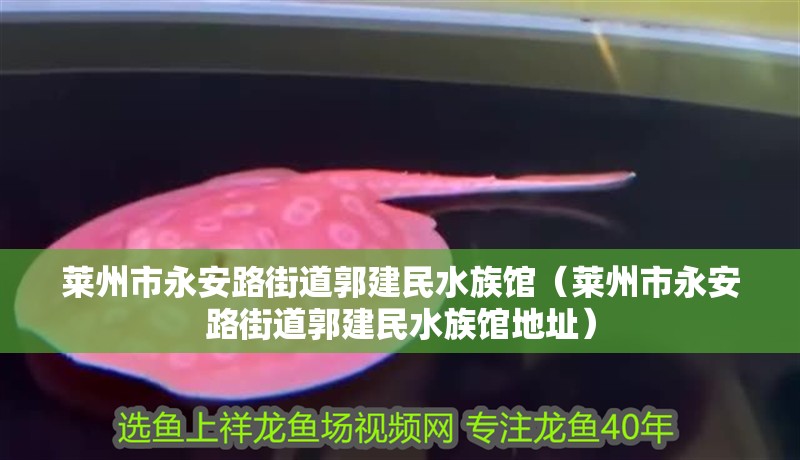 萊州市永安路街道郭建民水族館（萊州市永安路街道郭建民水族館地址）