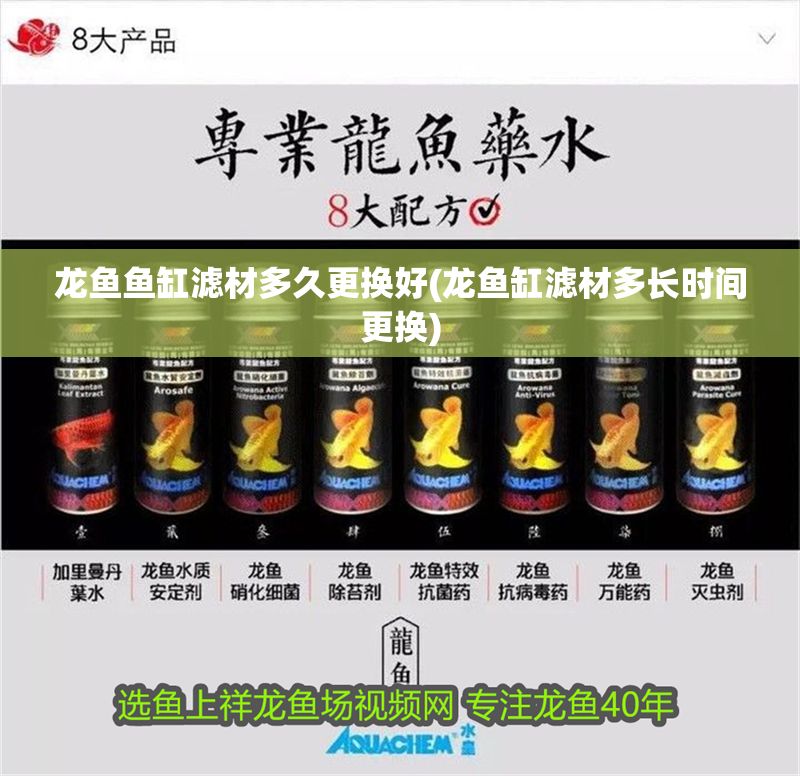 龍魚(yú)魚(yú)缸濾材多久更換好(龍魚(yú)缸濾材多長(zhǎng)時(shí)間更換)