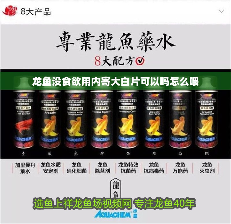 龍魚沒食欲用內(nèi)寄大白片可以嗎怎么喂