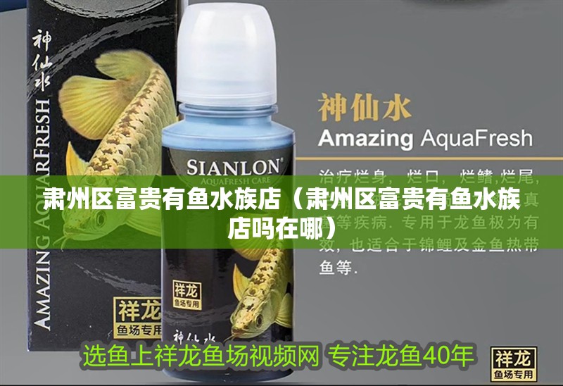 肅州區(qū)富貴有魚水族店（肅州區(qū)富貴有魚水族店嗎在哪）