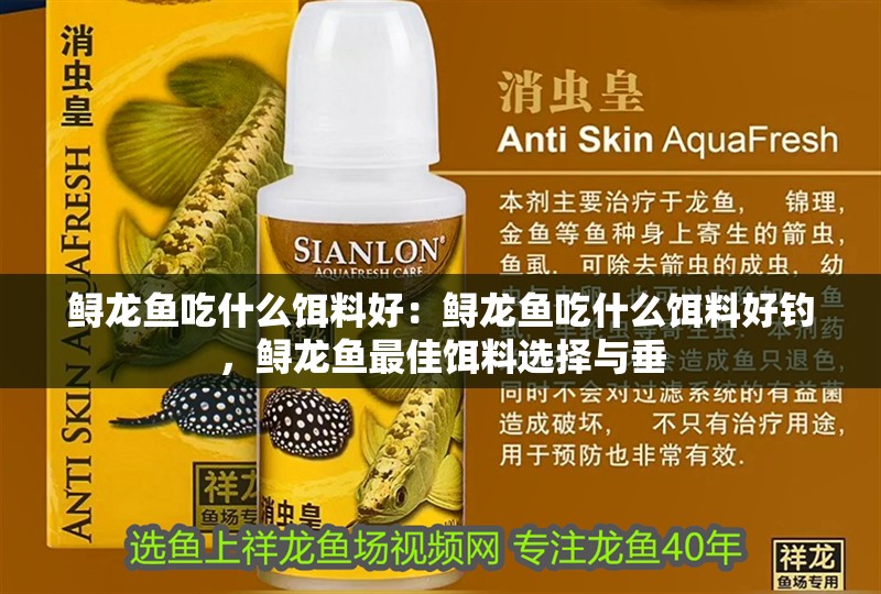 鱘龍魚吃什么餌料好：鱘龍魚吃什么餌料好釣，鱘龍魚最佳餌料選擇與垂