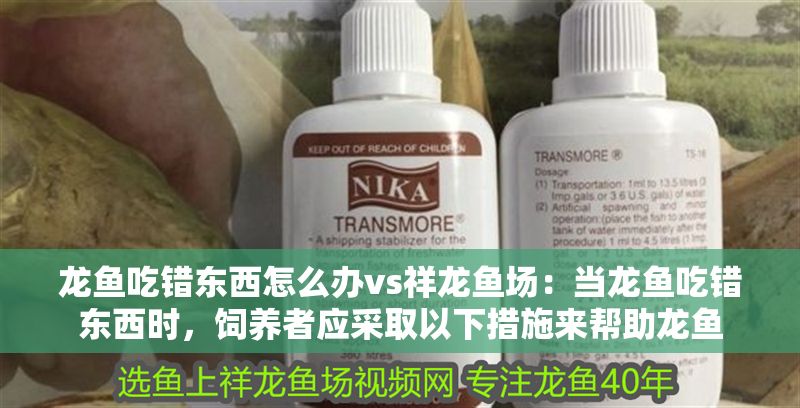 龍魚吃錯東西怎么辦vs祥龍魚場：當龍魚吃錯東西時，飼養者應采取以下措施來幫助龍魚