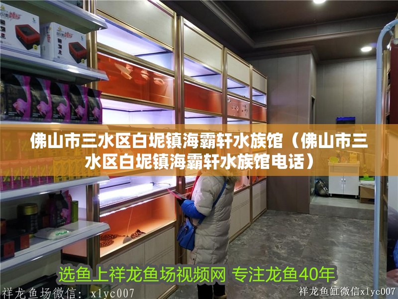 佛山市三水區白坭鎮海霸軒水族館（佛山市三水區白坭鎮海霸軒水族館電話） 佛山市三水區白坭鎮海霸軒水族館（佛山市三水區白坭鎮海霸軒水族館電話） 全國水族館企業名錄 第2張