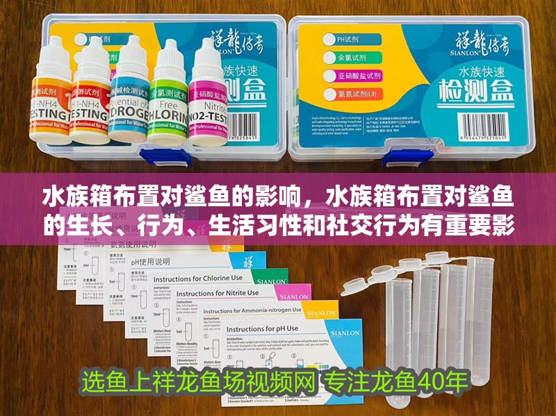 水族箱布置對鯊魚的影響，水族箱布置對鯊魚的生長、行為、生活習性和社交行為有重要影響