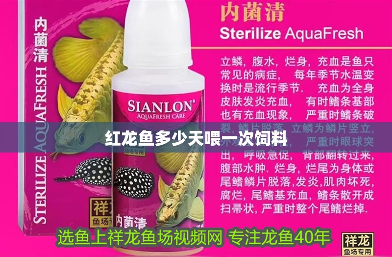 紅龍魚多少天喂一次飼料 紅龍魚多少天喂一次飼料 龍魚百科